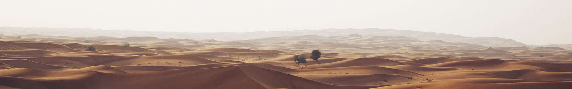İܵ޹˾